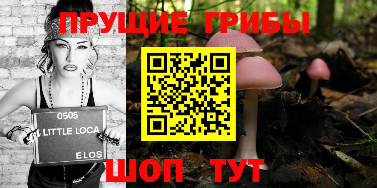 Псилоцибиновые грибы Psilocybine cubensis Елизово