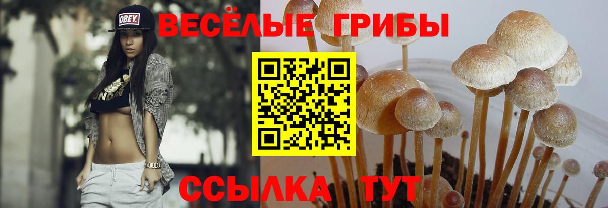 Елизово  Галлюциногенные грибы GOLDEN TEACHER  Псилоцибиновые грибы мухоморы  Вход с VPN 
